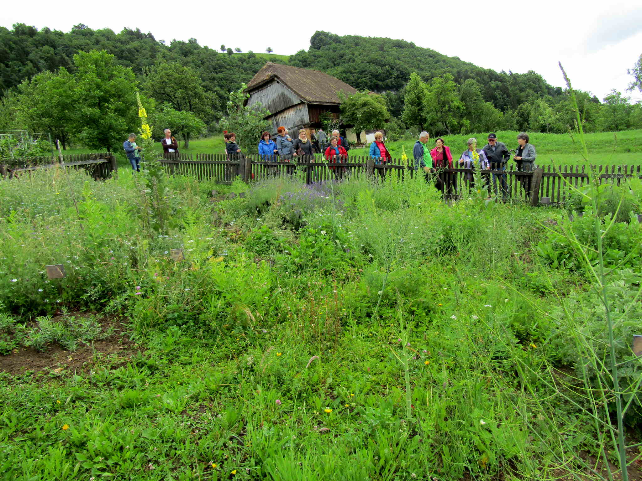 Zdaj je čas za našo dediščino