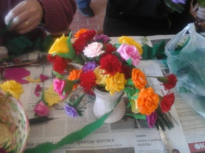 12419330_486827101527332_7594689203496819741_o